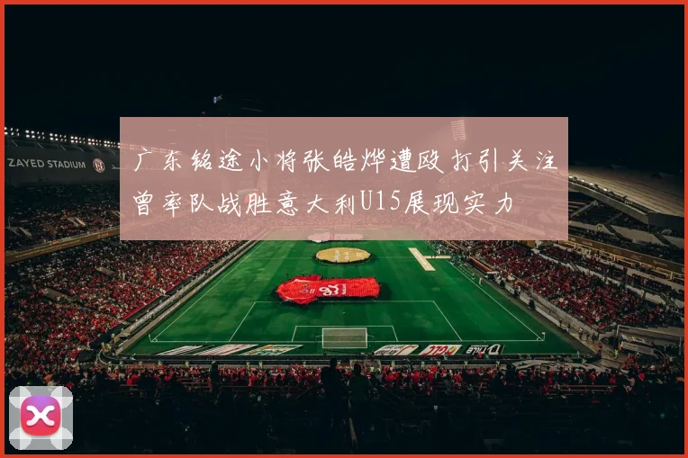 广东铭途小将张皓烨遭殴打引关注曾率队战胜意大利U15展现实力
